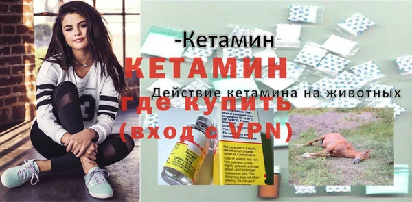 мдпв Инсар