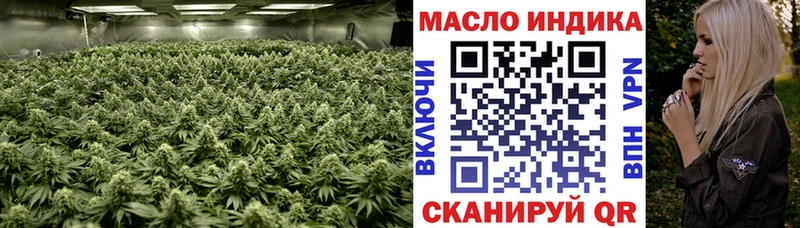 Купить где  Билибино  ТГК гашишное масло 